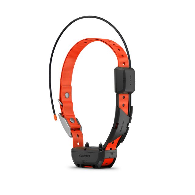 Collar on sale clinic garmin